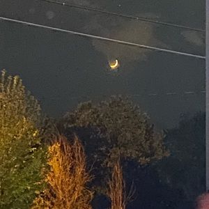 Meet your Posher, Kylie